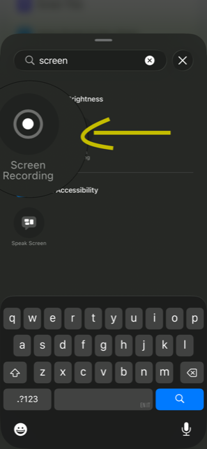 Control gallery showing the Screen Recording control
