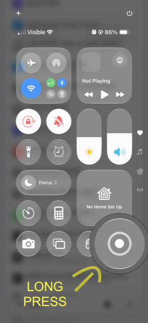 Screen Recording panel with the microphone off