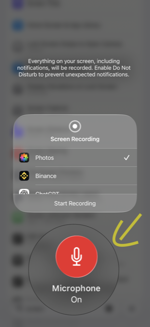 Screen Recording panel with the microphone switched on